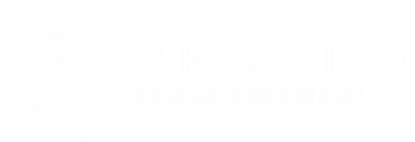 Seguro Broker